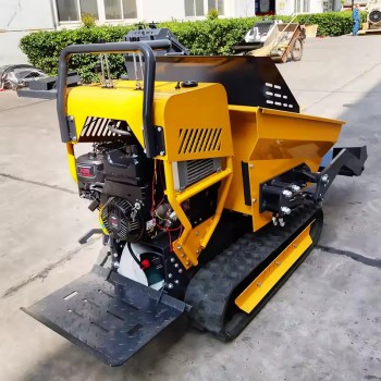 Mini Dumper AWY 500kg